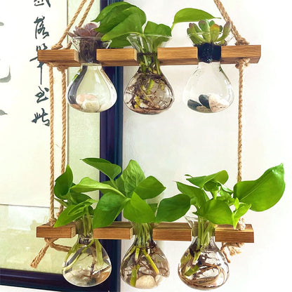 2 Tiered Plant Propagation Station,Hanging Propagation Station,Plant Propagation Station Wall Hanging,Gardening Gifts for Women