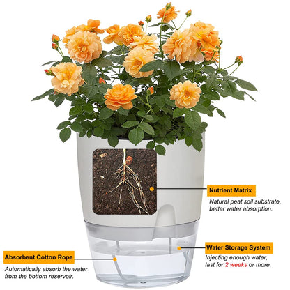 Self Watering Planters for Indoor Plants, 3 Pack 6 Inch African Violet Pots, Modern Decorative Flower Pots with Transparent Water Reservoir, Perfect for Indoor House Plants, Flowers (White)