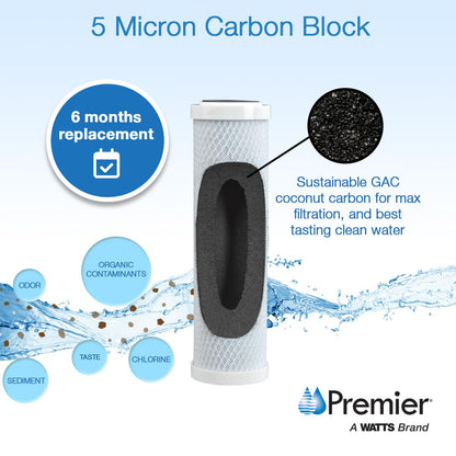 Watts Premier 500145 Plex Replacement, 2-Pack