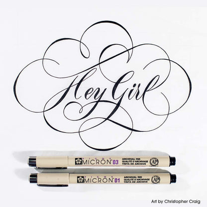 Sakura Pigma Micron Fineliner Pens - Archival Black Ink Pens - Pens for Writing, Drawing, or Journaling - Assorted Point Sizes - 6 Pack