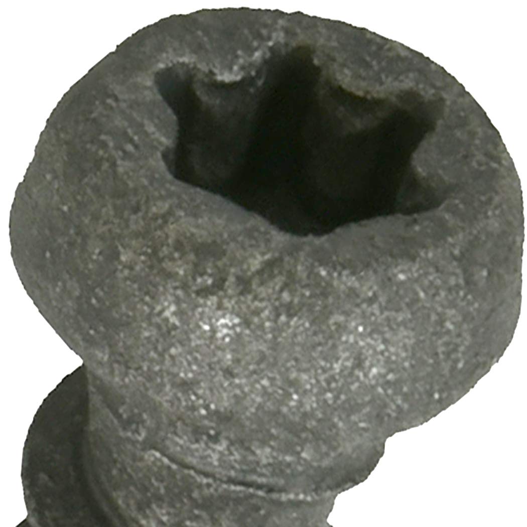 Hillman Fasteners 48439 LB 2.5x10GRY Deck Screw