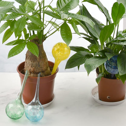 6Pcs Plant Watering Balls for Plant Watering Bulbs, Glass Self Watering Globes, 150ML Volume, Automatic Plant Watering Globe Watering Devices Perfect for Vacation Plant Indoor & Outdoor (6 x 15CM)