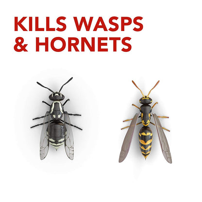 Raid Wasp and Hornet Killer, Wasp Killer Spray for Home Use Kills Bugs and Nests on Contact, Including Paper Wasps, Yellow Jackets, Mud Daubers and More, 400g (Pack of 2)