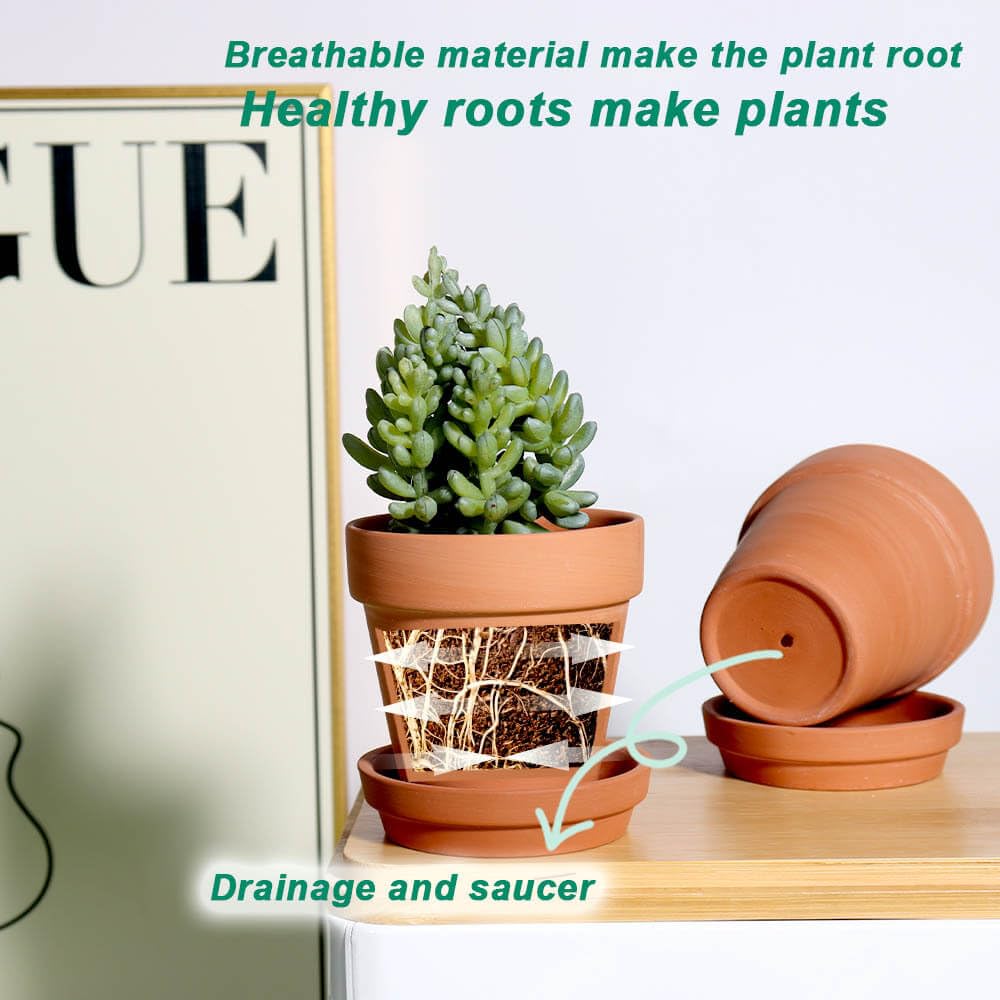 Terracotta Pots with Saucer - 12 Pack 3 Inch Clay Pot Ceramic Pottery Planter Cactus Flower Pots Succulent Pot Drainage Hole, Great for Plants, Crafts, Wedding Favor