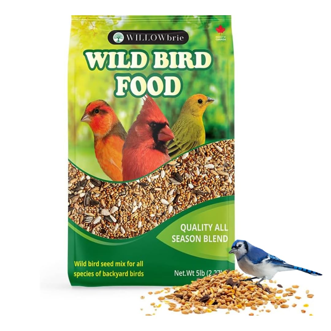 Quality Wild Bird Seed | Willowbrie Bird Seed | Birdseed for Outdoor Feeders | Wild Bird Food | Wild Bird Feed | 5lb Bag | Canadian