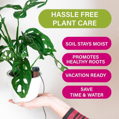 Blumat Classic Automatic Self Watering Plant Stakes (3 Pack) | Vacation Plant Watering Spikes | Houseplant Water Care for Indoor or Outdoor Plants