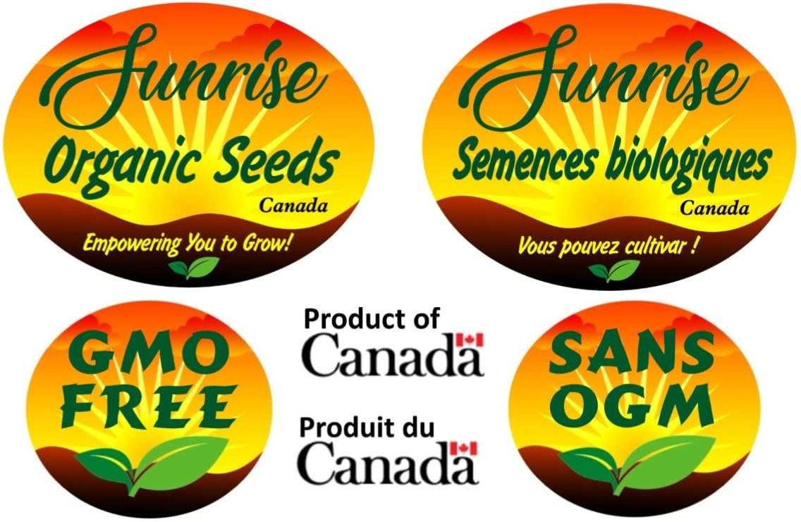 Broccoli Sprouting Seeds | Brocoli Graines à Germer | Organic & Non-GMO | Net Wt. 200 Grams (Approx. 78,800 Seeds) | High Germination Rate | Packaged in Canada