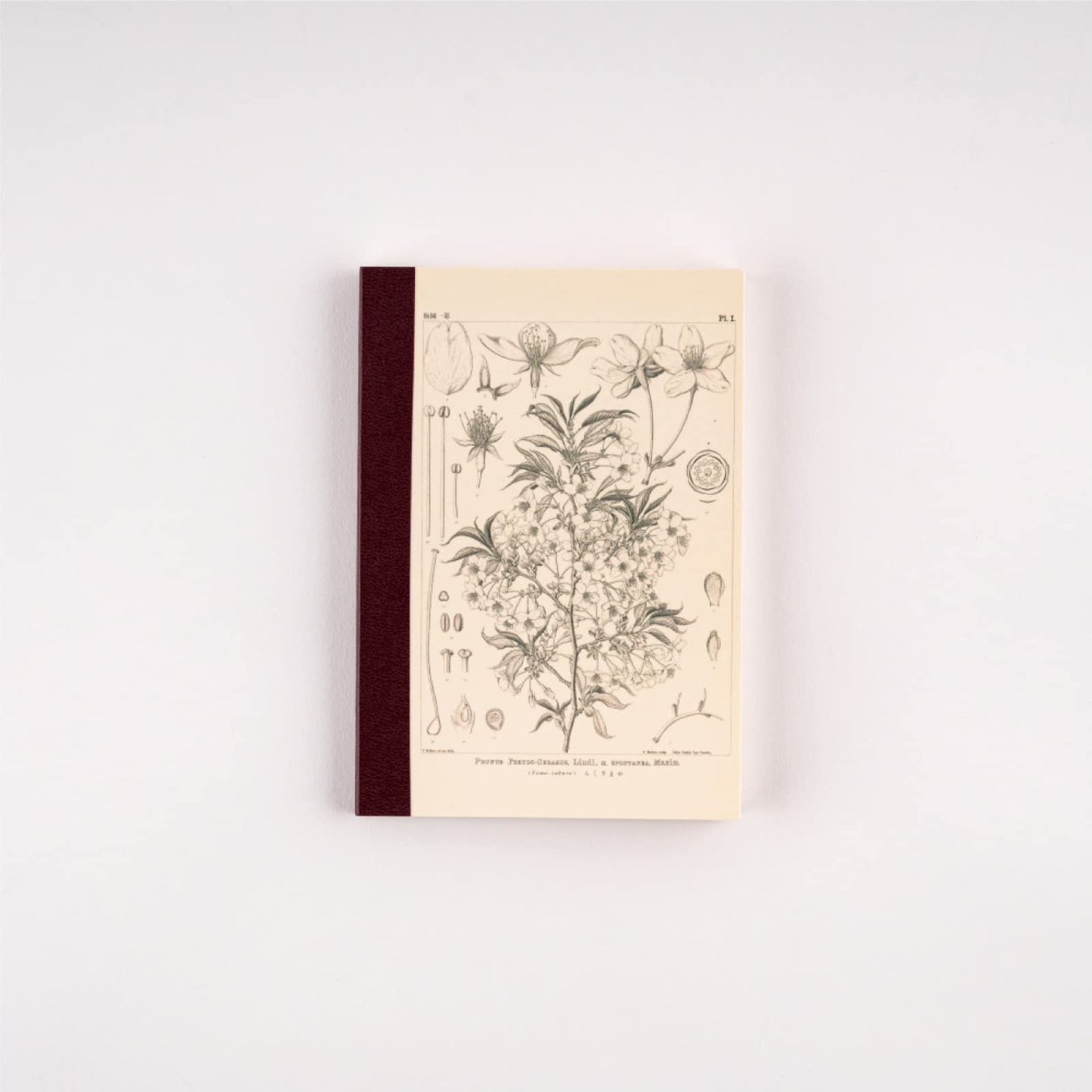 ほぼ日 Hobonichi Notebook, Tomitaro Makino/Hobonichi Grid Notebook (A6), Yamazakura, 0.1 inch (3.7 mm) Grid, 240 Pages, 4 Colors, Notebook Accessories