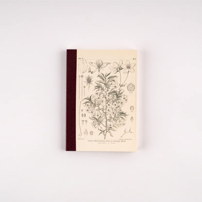 ほぼ日 Hobonichi Notebook, Tomitaro Makino/Hobonichi Grid Notebook (A6), Yamazakura, 0.1 inch (3.7 mm) Grid, 240 Pages, 4 Colors, Notebook Accessories