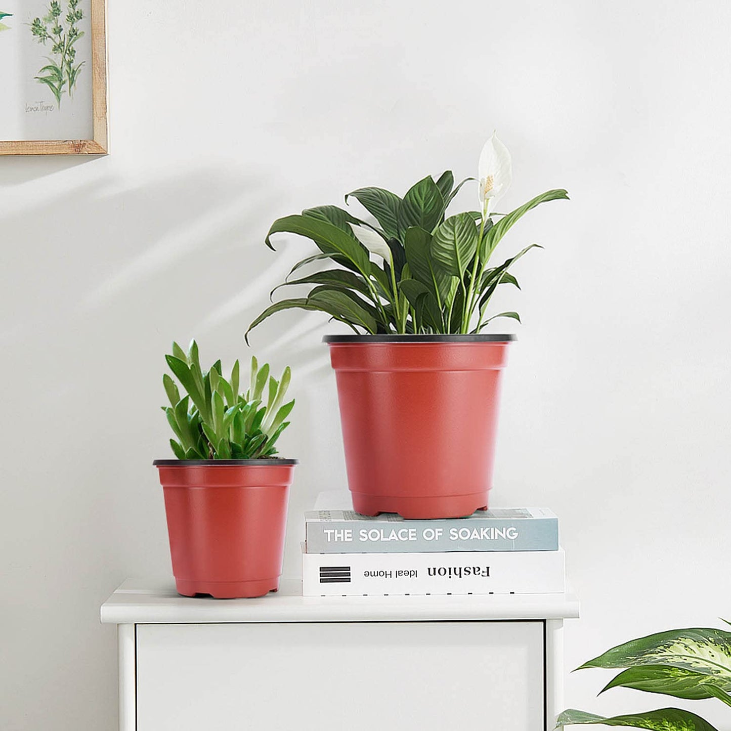 VIVOSUN 50 Pcs 6 Inch Plastic Plant Nursery Pots, Seed Starting Pot, Flower Plant Container for Seedlings, Cuttings, Transplanting