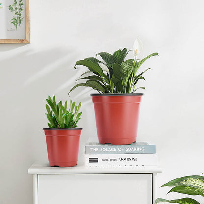 VIVOSUN 50 Pcs 6 Inch Plastic Plant Nursery Pots, Seed Starting Pot, Flower Plant Container for Seedlings, Cuttings, Transplanting