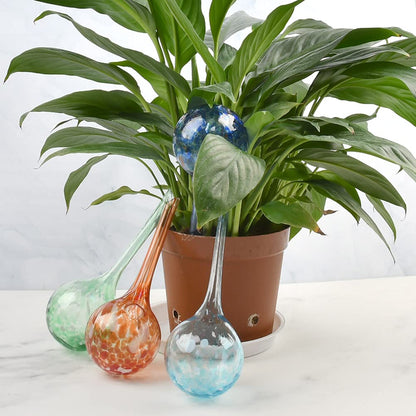 6Pcs Plant Watering Balls for Plant Watering Bulbs, Glass Self Watering Globes, 150ML Volume, Automatic Plant Watering Globe Watering Devices Perfect for Vacation Plant Indoor & Outdoor (6 x 15CM)