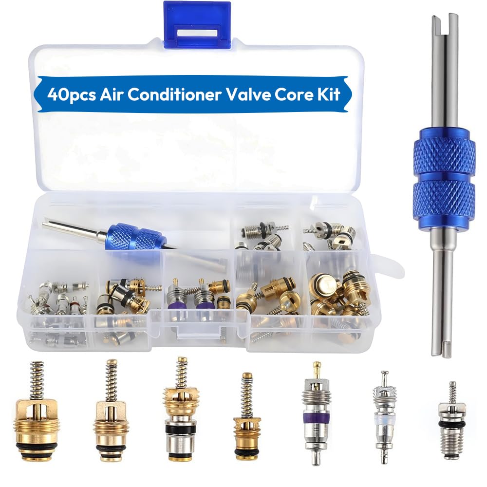 Saipor 3 Sets Car A/C Repair Kit, 270pcs Rubbber O-Ring Assortment Kits Seal Gasket Washer Set + 40PCS Car Air Conditioner Valve Core Kit R12 R134a A/C Valves Cores + 10pcs R134a AC Valve Caps