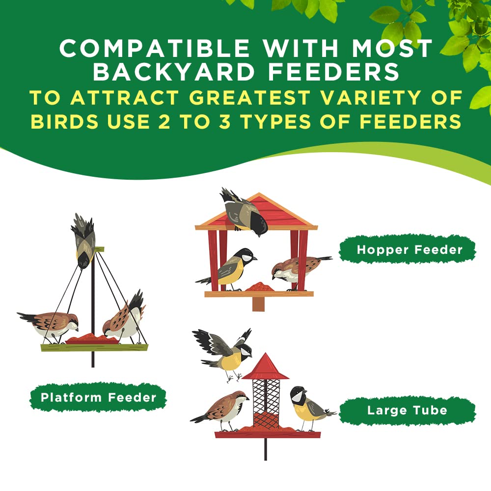 Quality Wild Bird Seed | Willowbrie Bird Seed | Birdseed for Outdoor Feeders | Wild Bird Food | Wild Bird Feed | 5lb Bag | Canadian