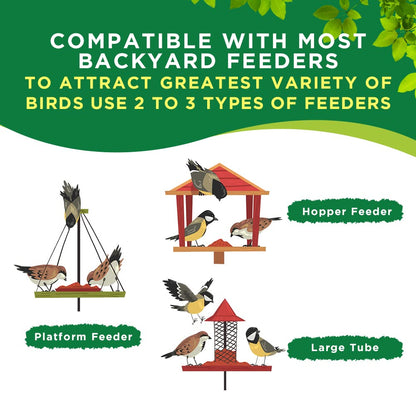 Quality Wild Bird Seed | Willowbrie Bird Seed | Birdseed for Outdoor Feeders | Wild Bird Food | Wild Bird Feed | 5lb Bag | Canadian