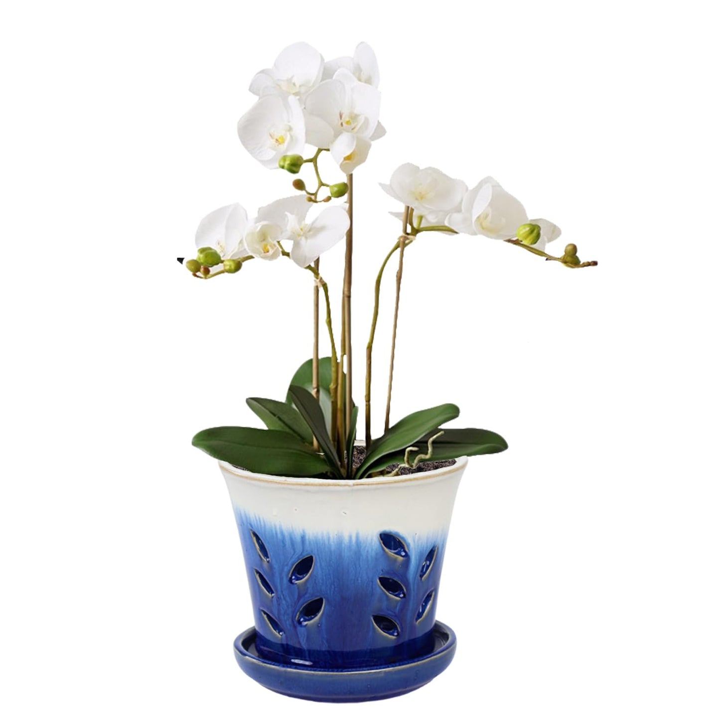vensovo 6 Inch Ceramic Orchid Pot - Orchid Pot with Holes for Repotting, Ceramic Planter with Saucer for Indoor/Outdoor Plants