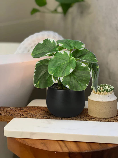 3 Pack Fake Plants Potted Artificial Plants Mini Faux Plants in Black Ceramic Pots Greenery Décor for Home Office Table Room Farmhouse Indoor Decoration