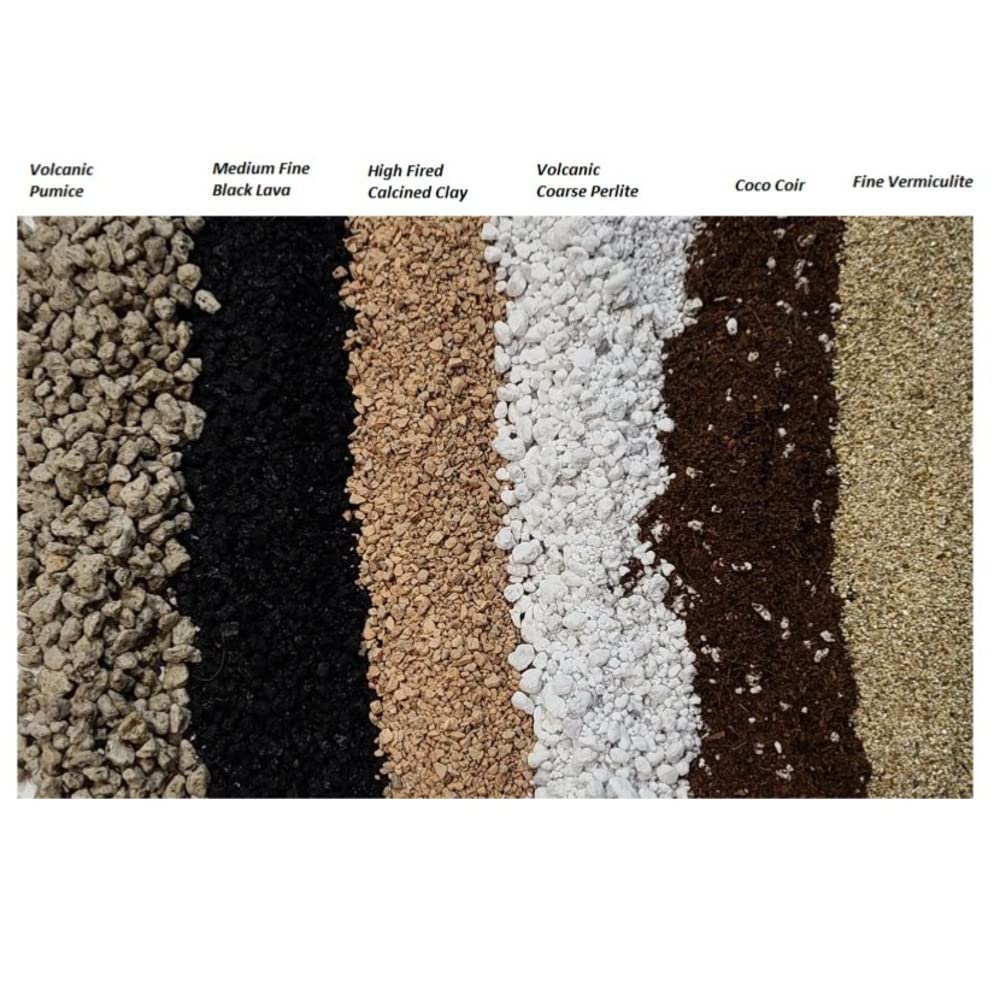 M.M BASICS Succulent Soil Mix/Cactus Soil, Mixed with Volcanic Pumice, Coarse Perlite, Calcined Clay, Black Lava Rocks, Fine Vermiculite and Coco Coir, Well-Draining and Healthy Roots, (2.5 litres)