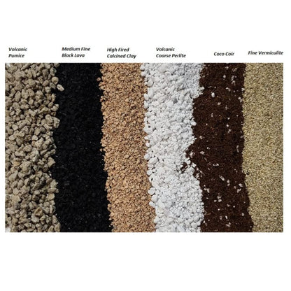 M.M BASICS Succulent Soil Mix/Cactus Soil, Mixed with Volcanic Pumice, Coarse Perlite, Calcined Clay, Black Lava Rocks, Fine Vermiculite and Coco Coir, Well-Draining and Healthy Roots, (2.5 litres)