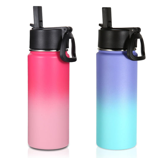 Volhoply 16 OZ Kids Water Bottle Bulk 2 Pack,Insulated Sports Bottles with Straw Lid,Stainless Steel Bottle with Handle Keep Cold & Hot,Double Wall Vacuum Cups for School(Assorted,Set of 2)