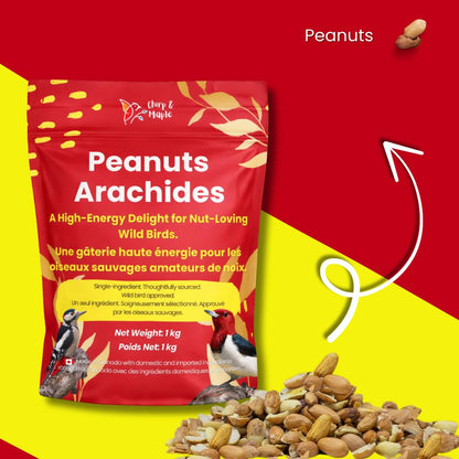 Chirp & Maple, Premium No Shell Peanuts for Wild Birds - Unsalted Raw Kernels, High Protein Wild Bird Food Attracts Blue Jays & Woodpeckers, 1KG Bag