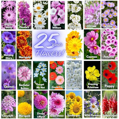 25 Packs Sachets Flowers Varieties Heirloom Seeds Packets Seeds with 25 Planting Labels 100% Non-GMO. Sachets de graines potagères