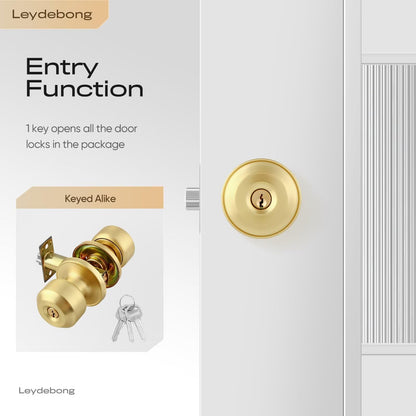 Leydebong 1 Pack Keyed Entry Door Knobs with Lock, Gold Door Locks, Interior and Exterior Door Lock, Reversible for Right/Left Handing