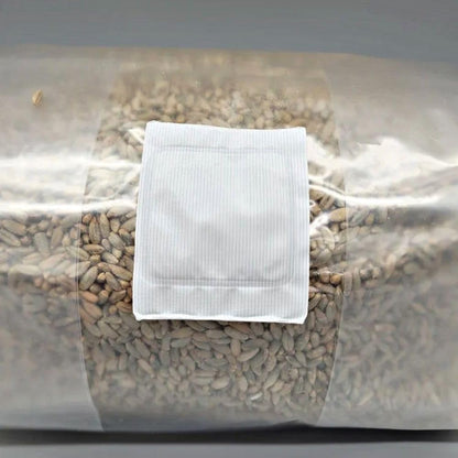 Rye Mushroom Grain Spawn | 2.5LB | Pre-Sterilized | Injection Port | Grow Mushrooms at Home | Made in Canada | Flatland Fungi