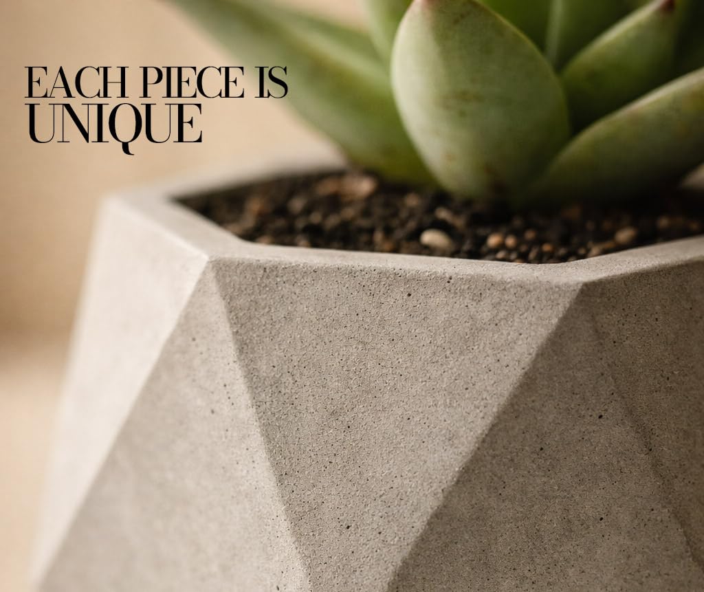 UpBiggin Concrete Plant Pots – Set of 2, 3 Inch Hexagonal Succulent Planters with Drainage – Small Flower Pots for Indoor Plants, Cactus & Herbs – Modern Home Décor, Pot Plante Intérieu