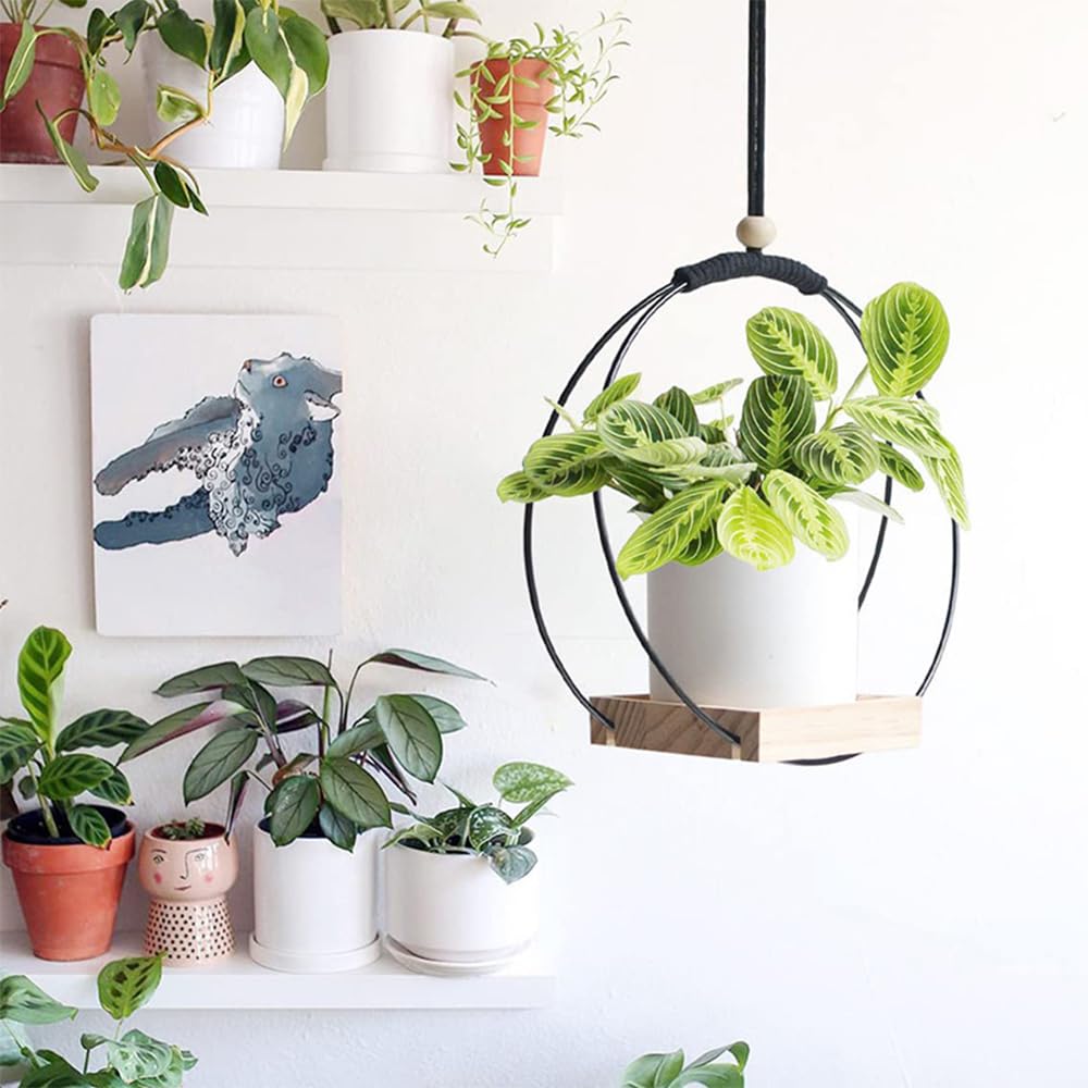 Benustra 2 Pack Hanging Planters for Indoor Plants,Hanging Plant Shelf with Wooden Base & Ceiling Hooks,Wall Ceiling Planter Display Shelf for Home Garden Patio Office Indoor Outdoor(Black)