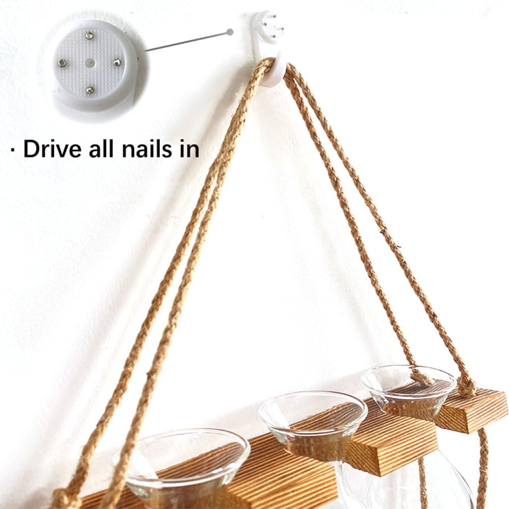 2 Tiered Plant Propagation Station,Hanging Propagation Station,Plant Propagation Station Wall Hanging,Gardening Gifts for Women