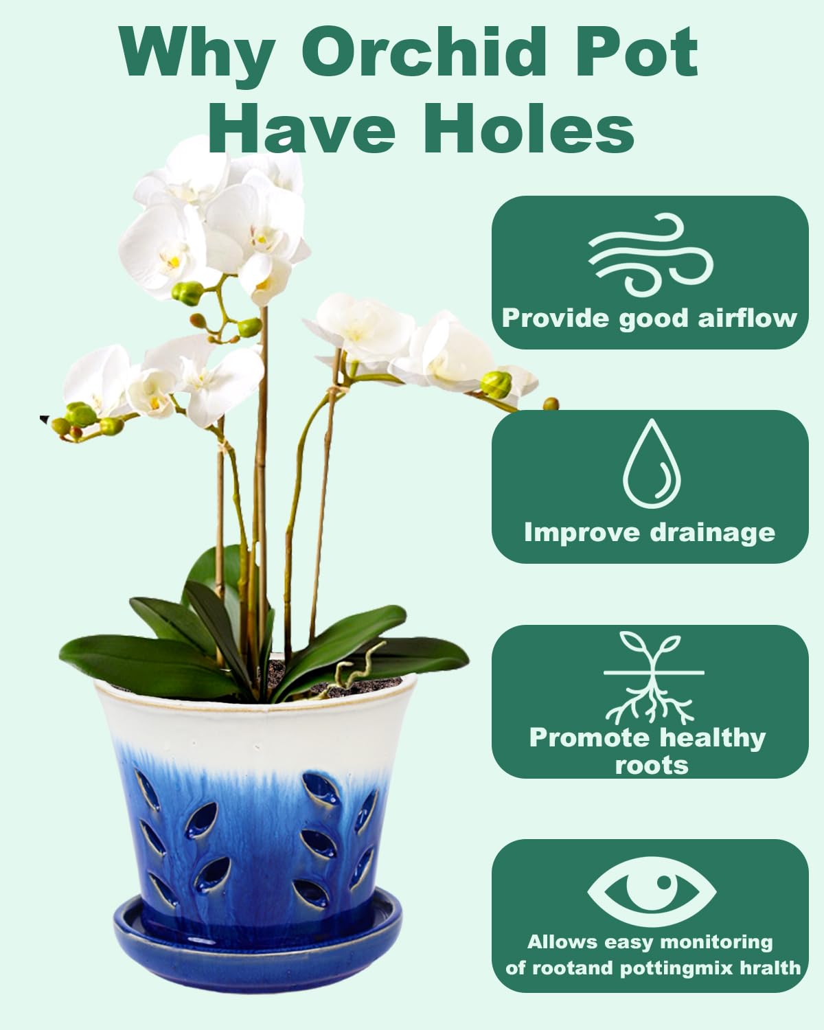 vensovo 6 Inch Ceramic Orchid Pot - Orchid Pot with Holes for Repotting, Ceramic Planter with Saucer for Indoor/Outdoor Plants