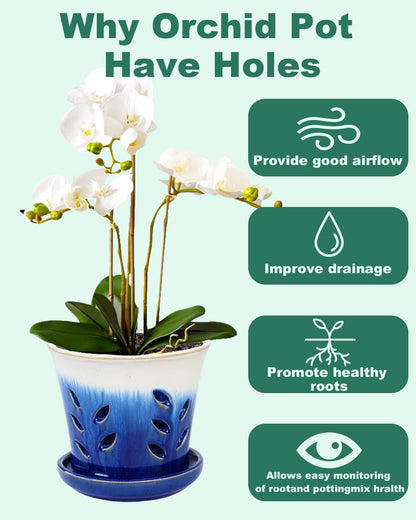 vensovo 6 Inch Ceramic Orchid Pot - Orchid Pot with Holes for Repotting, Ceramic Planter with Saucer for Indoor/Outdoor Plants