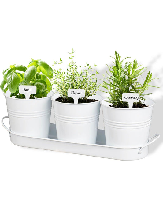 vensovo Indoor Herb Planter Set with Tray - Metal Windowsill Herb Plant Pot with Drainage & Plug for Garden Planter Outdoor, White