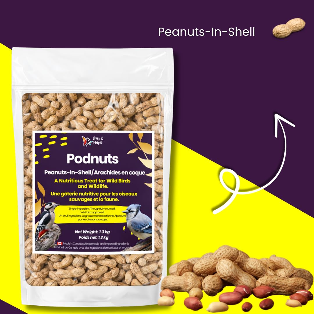 Chirp & Maple, Unsalted Peanuts in Shell for Wild Birds and Wildlife, Raw Unroasted, Podnuts - Wild Bird Food 1.3KG Bag