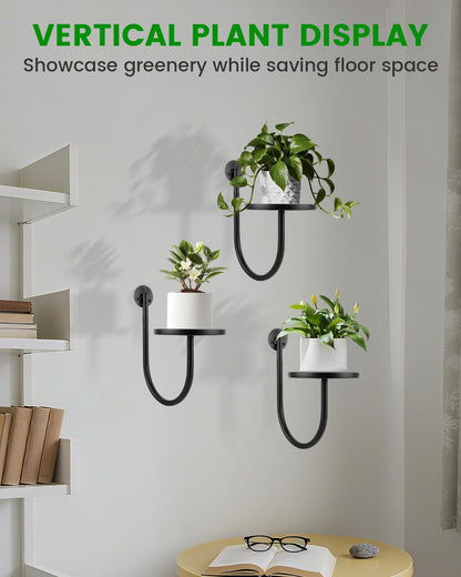 Wall Planters for Indoor Plants, Mounted Holder Shelf 3 Pack, Metal Plant Wall Hanger, Decorative Plant Shelf for Indoor Wall Decor