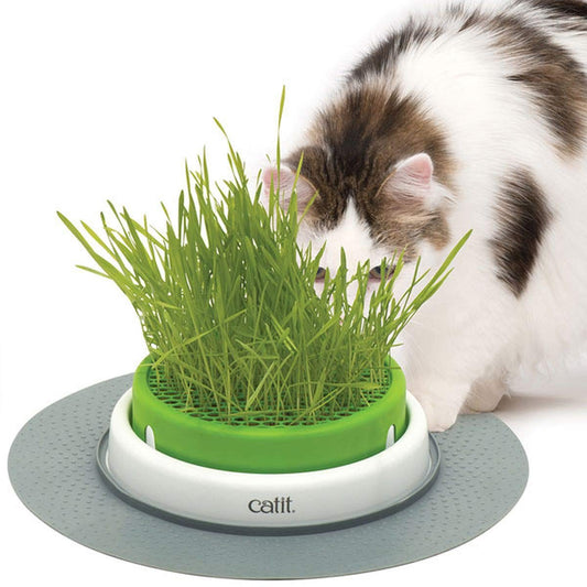 Catit Senses 2.0 Grass Planter, Green (43161W)