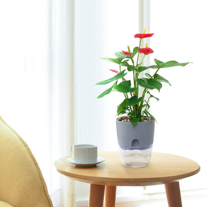 Self Watering Planters for Indoor Plants, 3 Pack 6 Inch African Violet Pots, Modern Decorative Flower Pots with Transparent Water Reservoir, Perfect for Indoor House Plants, Flowers (White)