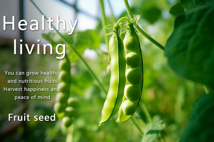 Vegetable Seeds Pack & Fruit Seeds 35 Varieties Individually Packed with Vegetables 10 Free Plant Markers Vegetable Seeds for Planting Indoor and Outdoors Gardening