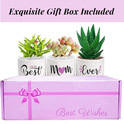 Best Mom Ever Gifts, Best Gifts for Mum from Daughter Son Kids Unique, Best Mom Ever Succulent Pots for Plants Indoor Ceramic Planter, Gift Boxed Birthday
