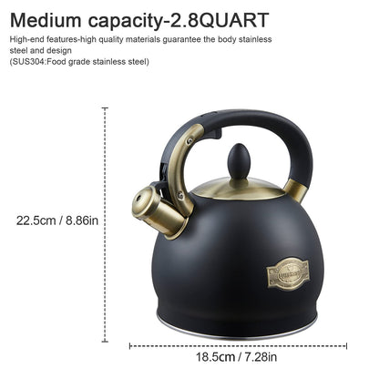 Stove Top Whistling Tea Kettle- Stainless Steel Teakettle Teapot with Ergonomic Handle 2.6 Quart(Black)