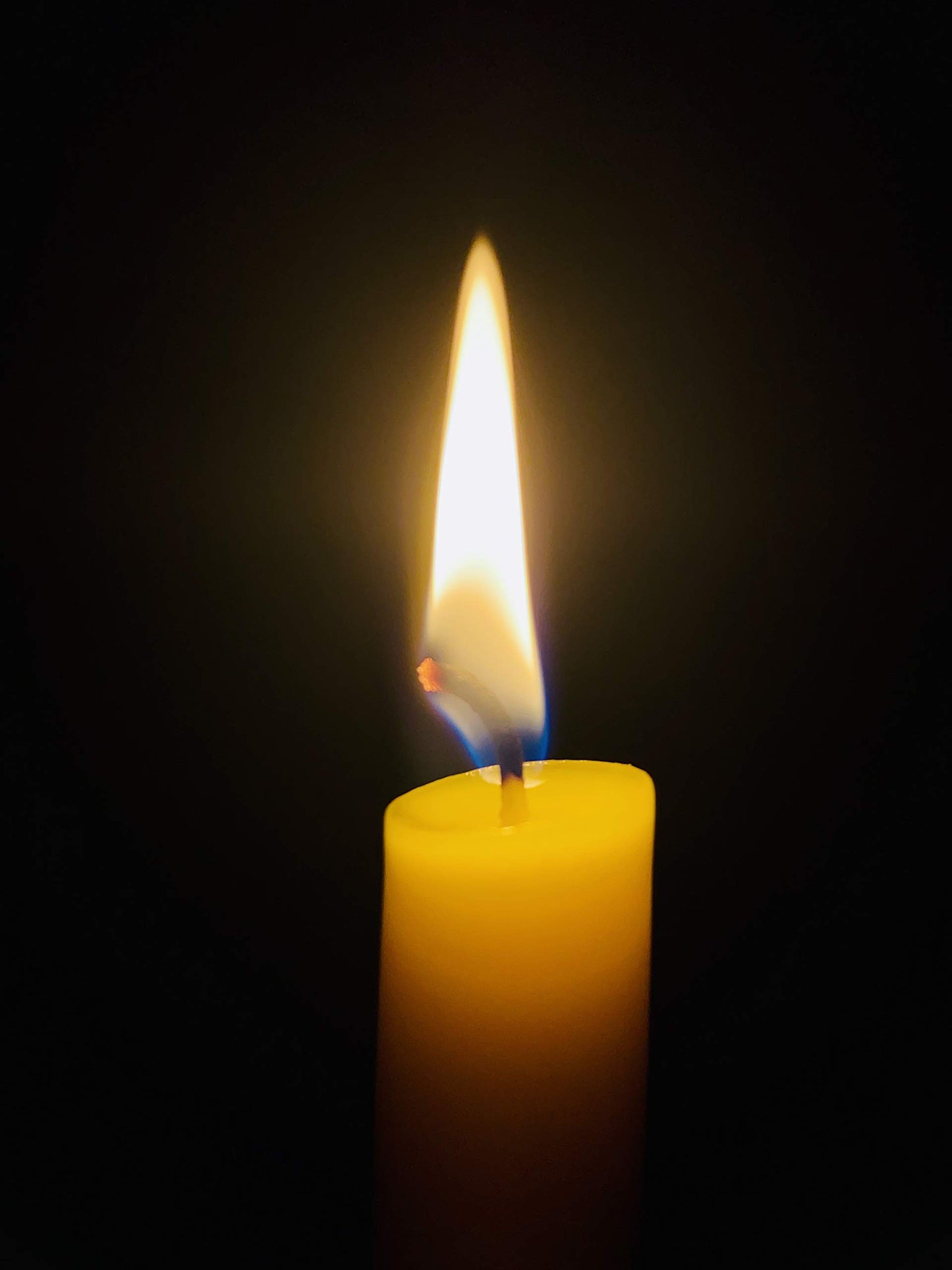 100% Pure Canadian Beeswax Taper Candles (7/8” x 8"), Two Pairs (4 Candles)