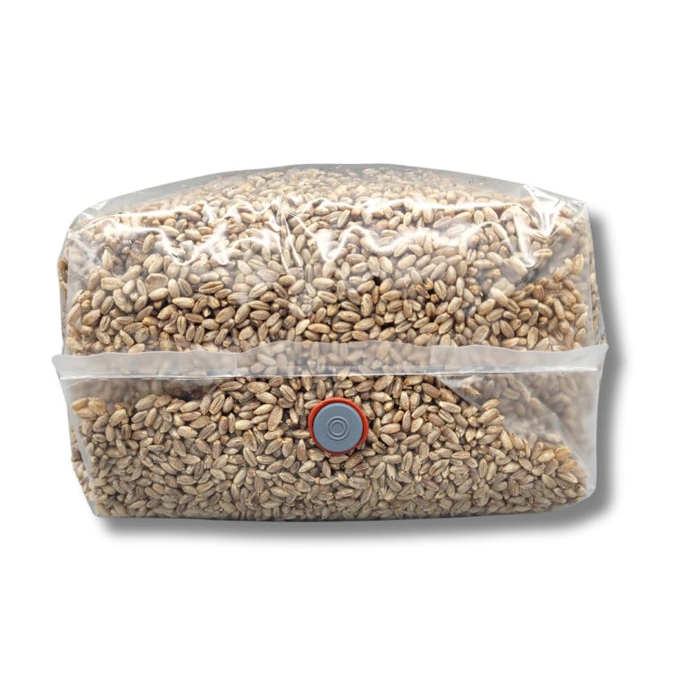 Rye Mushroom Grain Spawn | 2.5LB | Pre-Sterilized | Injection Port | Grow Mushrooms at Home | Made in Canada | Flatland Fungi
