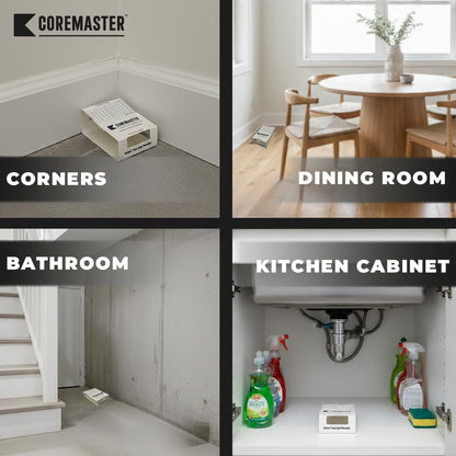 Coremaster Insect Monitor & Traps | Strong Adhesive Boards for Roaches, Ants & Crawling Insects | for Indoor Use i.e Kitchen, Basement,Garage & Storage Areas | Safe, Non-Toxic (24 Boards - 72 Traps)