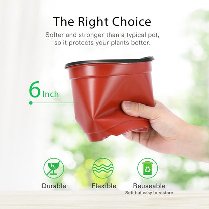 VIVOSUN 50 Pcs 6 Inch Plastic Plant Nursery Pots, Seed Starting Pot, Flower Plant Container for Seedlings, Cuttings, Transplanting