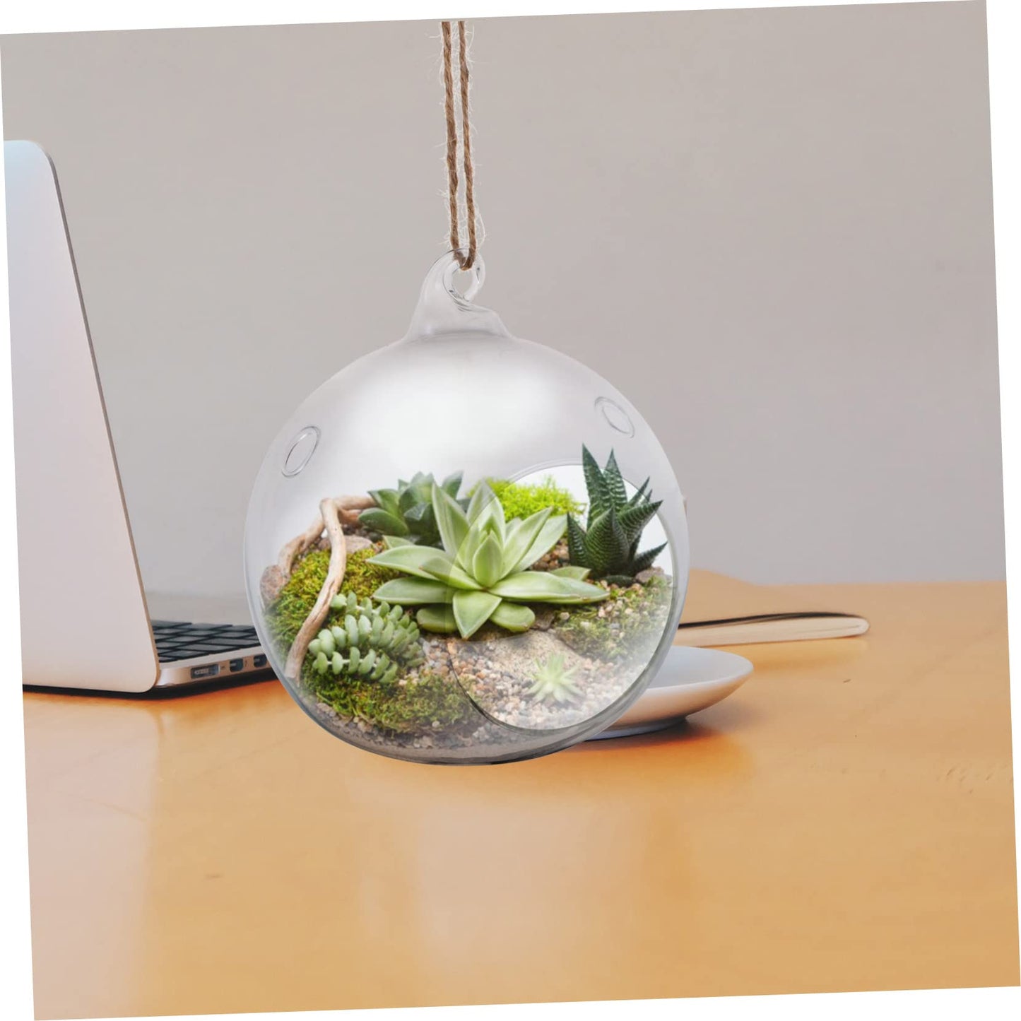 SUPVOX 2-Pack Glass Hanging Vase Terrarium 4.72 Inch Transparent Globe for Indoor Air Plants Home Garden Balcony Decorative Plant Containers