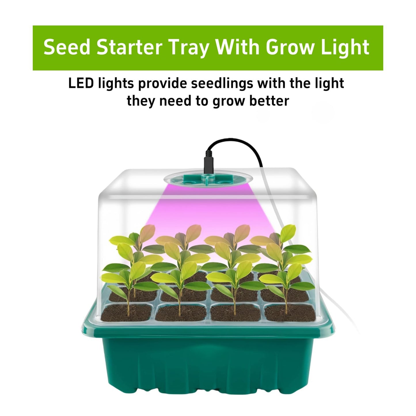Danolt 5 Pack 60 Cell Seed Trays for Seedlings with Light, Heated Propagators for Seeds, Seed Trays with Lids, Includes 10 Pcs Plant Label and 2 Pcs Tools