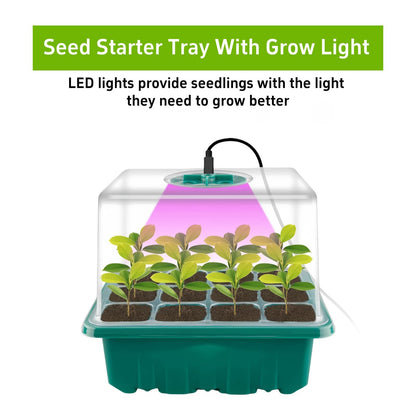 Danolt 5 Pack 60 Cell Seed Trays for Seedlings with Light, Heated Propagators for Seeds, Seed Trays with Lids, Includes 10 Pcs Plant Label and 2 Pcs Tools