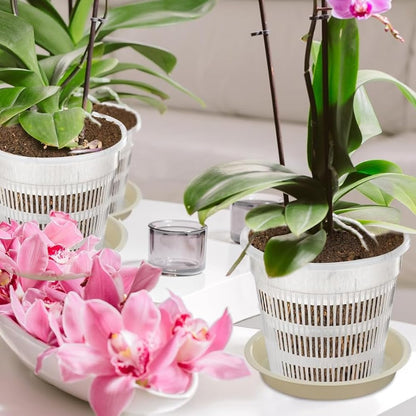 6 Pcs 5.5 Inch Orchid Pot with Holes and Saucers for Repotting Clear Plastic Flower Plant Indoor Outdoor Plants Orchids Planter Root Health Pots Nursery Drainage (6, 14 * 12cm)
