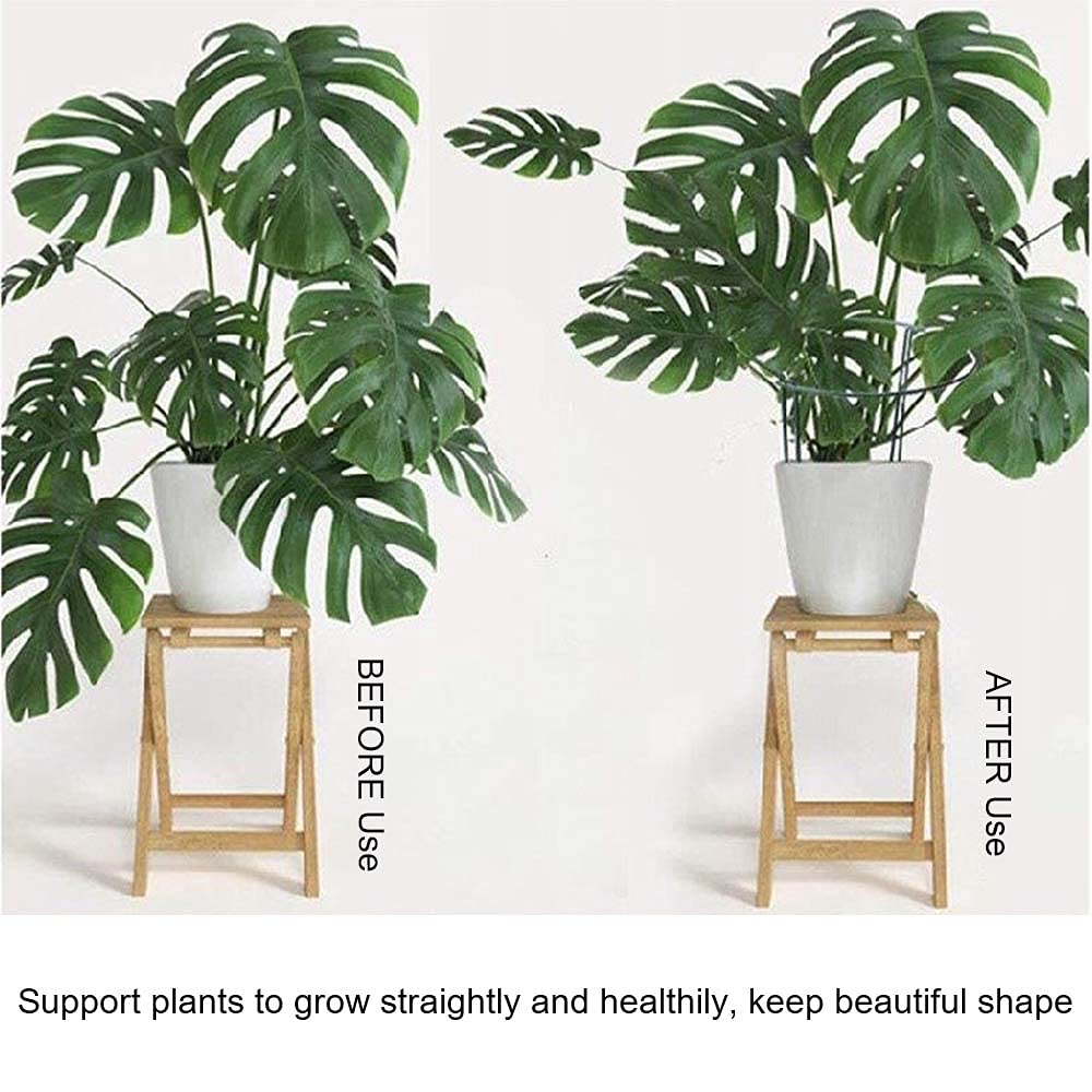 8 Pack Plant Support Stakes, Metal Interlinking Plant Stake for Garden, Plant Cages & Supports for Peony, Tomato, Hydrangea, Indoor Plants (9.8" W x 15.7" H)